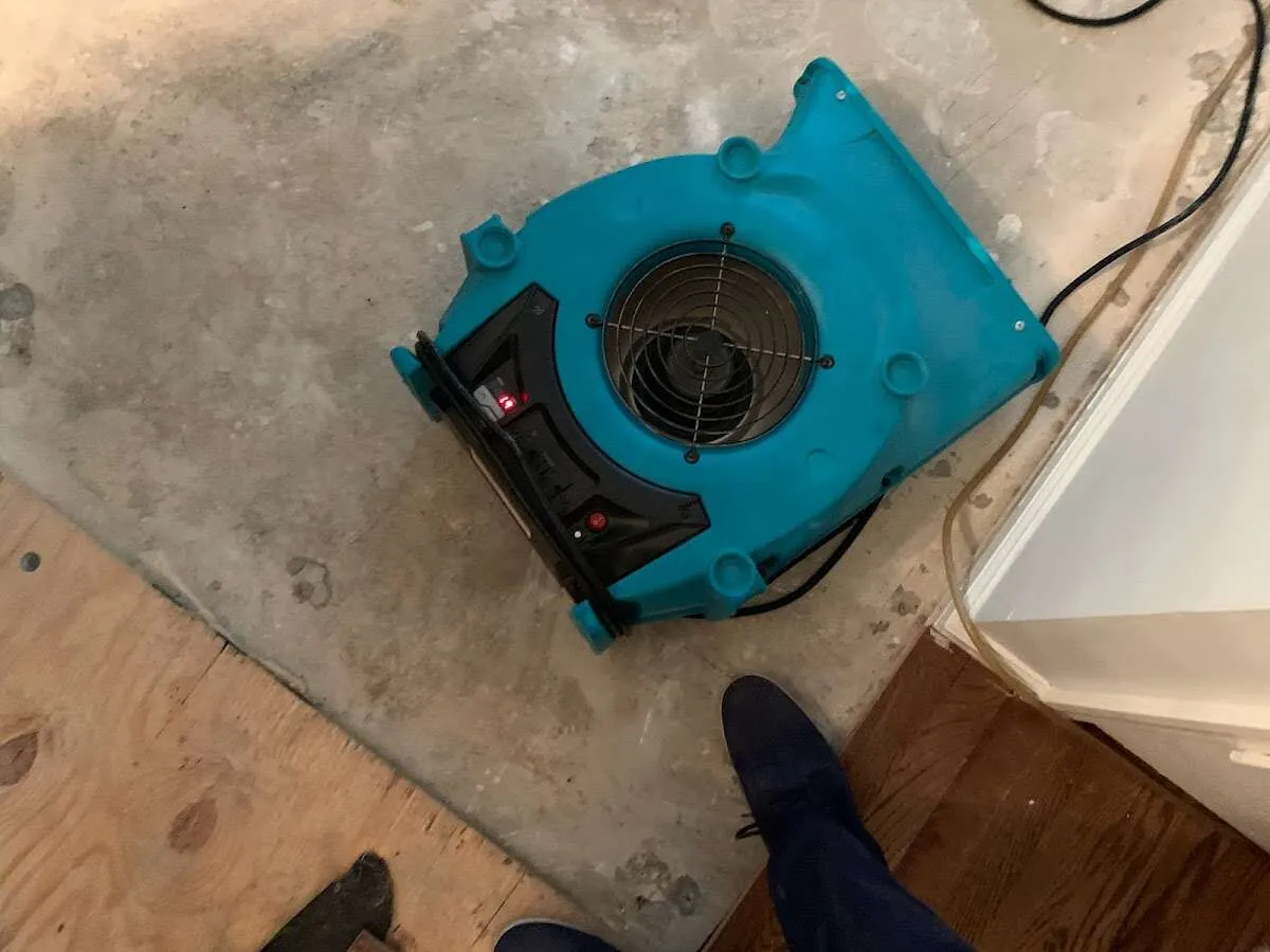 Air mover drying subfloor during Leak Detection & Repair in Greenwich